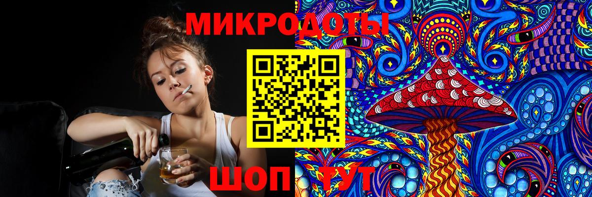 Сокол  Псилоцибиновые грибы Cubensis  Вход с VPN 